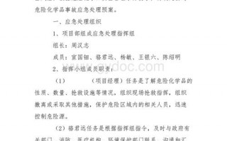 危险品经营应接预案怎样做（危险品专项应急预案）