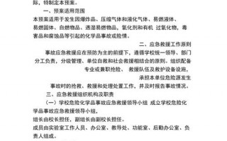 无储存经营危化品应急预案（危险化学品无储存经营是什么意思）