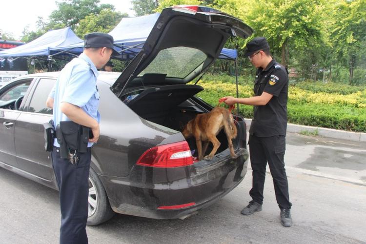 新浦区易制爆道路运输许可证办理 易制爆运输要办证吗-第3张图片-(义乌市荷淮网络科技工作室)